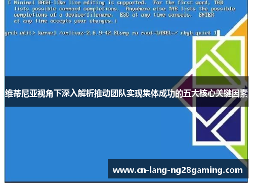 维蒂尼亚视角下深入解析推动团队实现集体成功的五大核心关键因素 维蒂尼亚视角下深入解析推动团队实现集体成功的五大核心关键因素