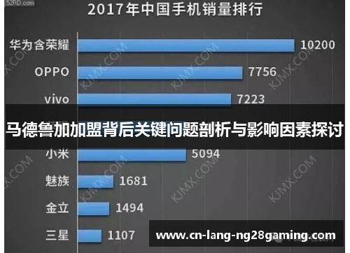 马德鲁加加盟背后关键问题剖析与影响因素探讨 马德鲁加加盟背后关键问题剖析与影响因素探讨