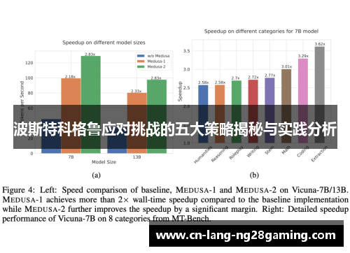 波斯特科格鲁应对挑战的五大策略揭秘与实践分析