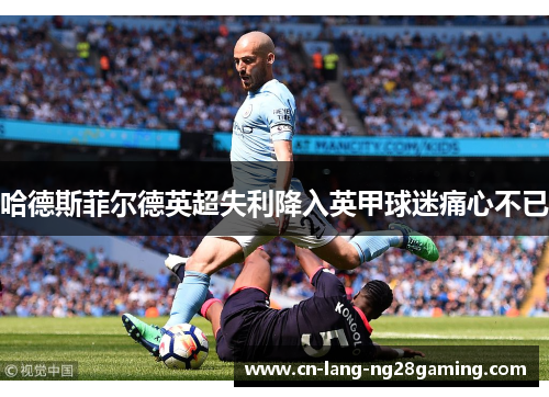 哈德斯菲尔德英超失利降入英甲球迷痛心不已 哈德斯菲尔德英超失利降入英甲球迷痛心不已