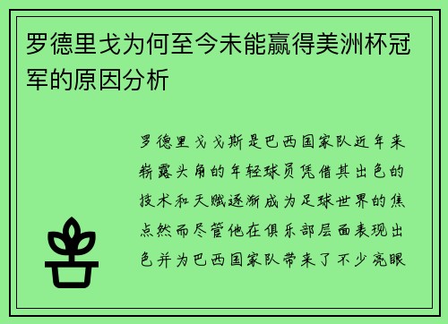 罗德里戈为何至今未能赢得美洲杯冠军的原因分析 罗德里戈为何至今未能赢得美洲杯冠军的原因分析