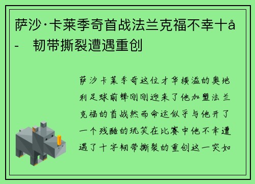 萨沙·卡莱季奇首战法兰克福不幸十字韧带撕裂遭遇重创